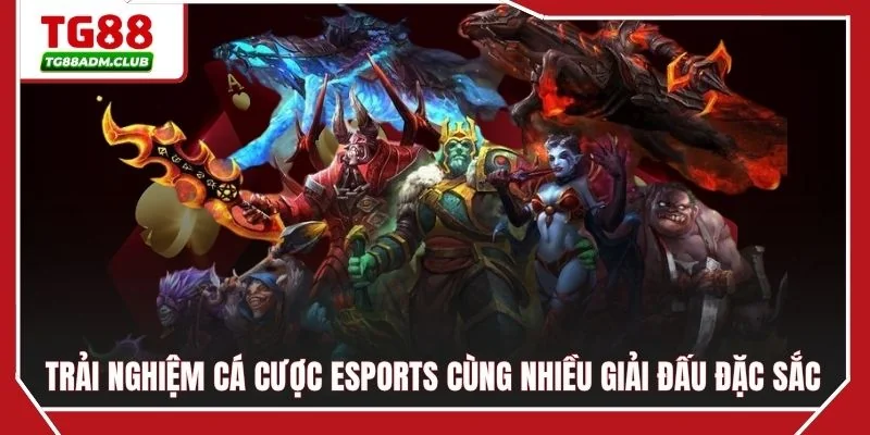 Trải nghiệm cá cược Esports cùng nhiều giải đấu đặc sắc