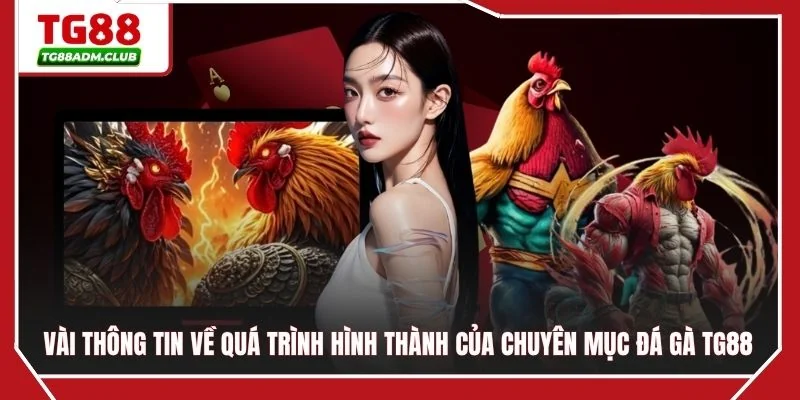 Vài thông tin về quá trình hình thành của chuyên mục đá gà TG88